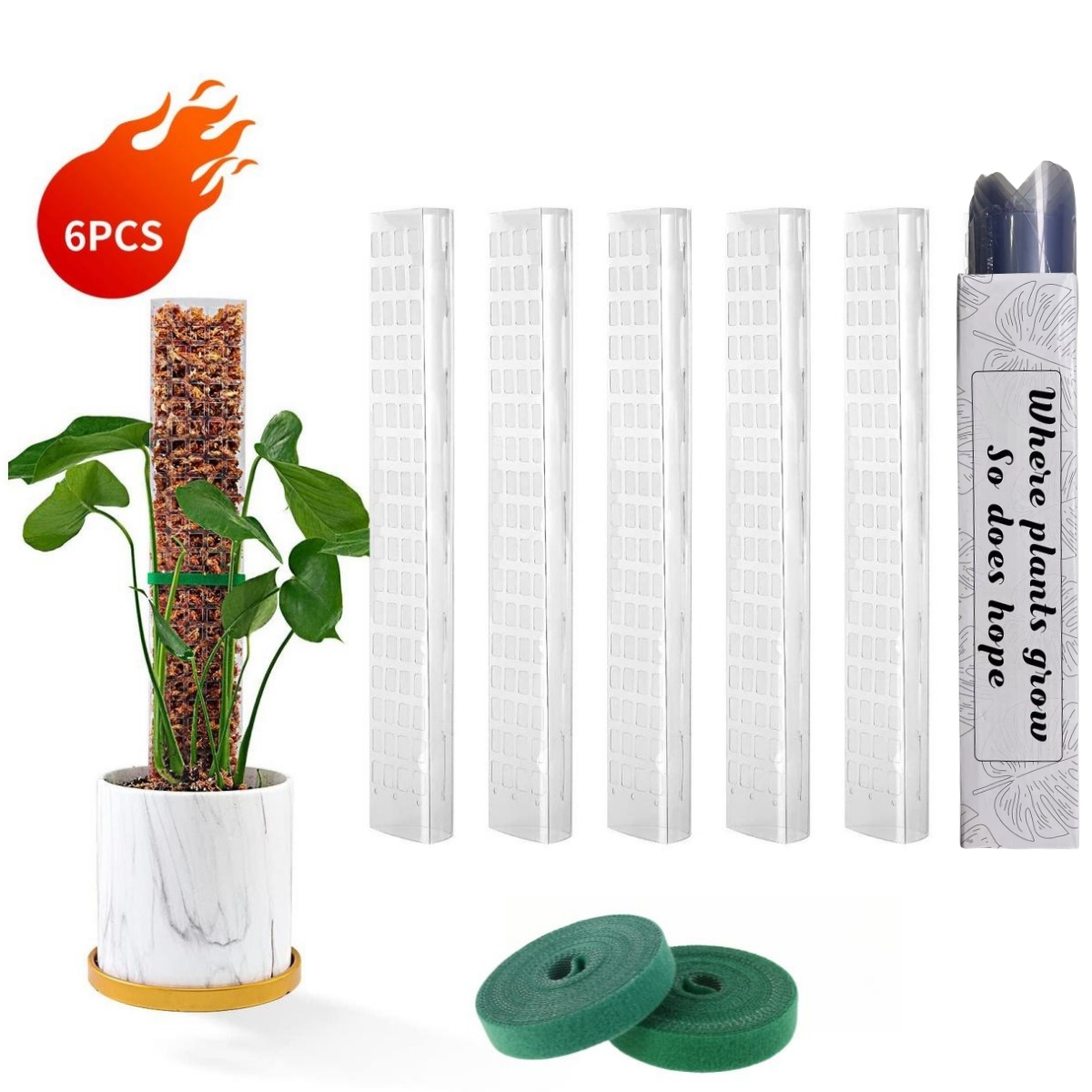 Sphagnum Moss Dry - نباتات أقطاب الطحلب تدعم النباتات البلاستيكية