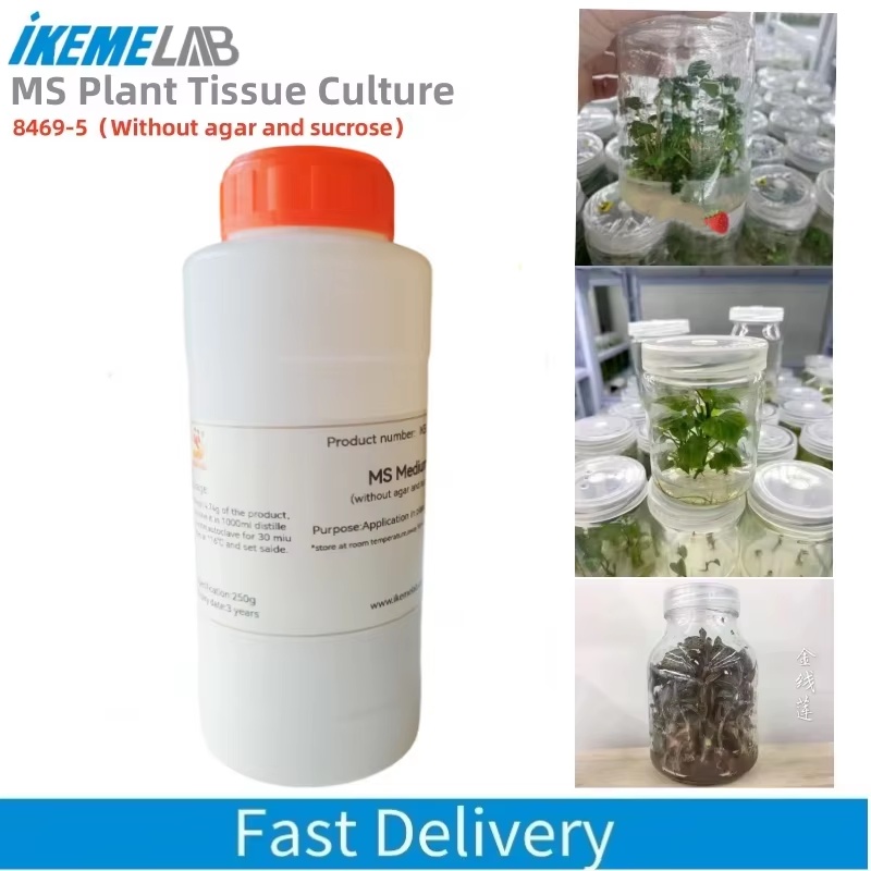 Agar Tissue Culture - IKEME 250 جرام Lab MS Medium