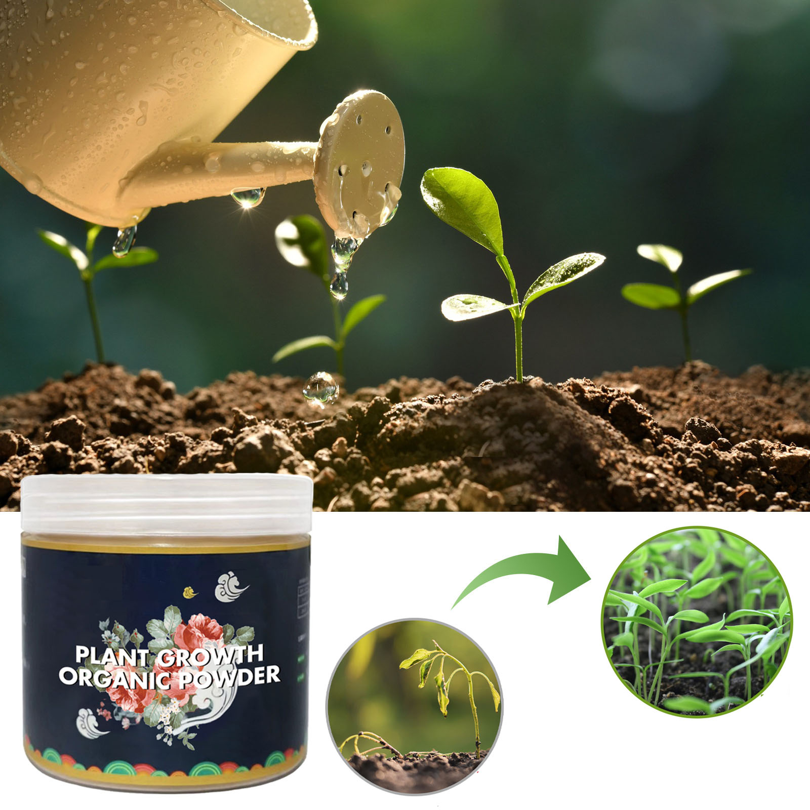 Rooting Hormone Powder - مسحوق تأصيل سريع لتحسين التربة النباتية