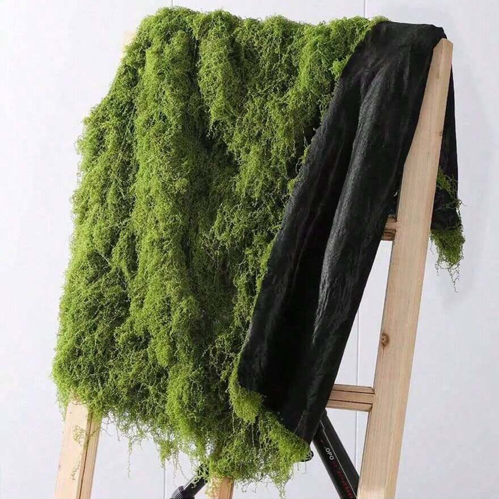 Sphagnum Moss Dry - 1*1 متر الطحلب وهمية Crafts بها