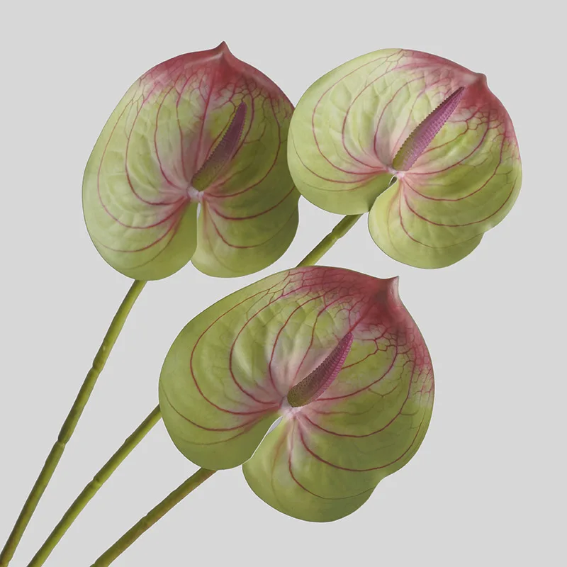Sphagnum Moss Dry - زهرة نخيل حمراء صناعية لتزيين المنزل