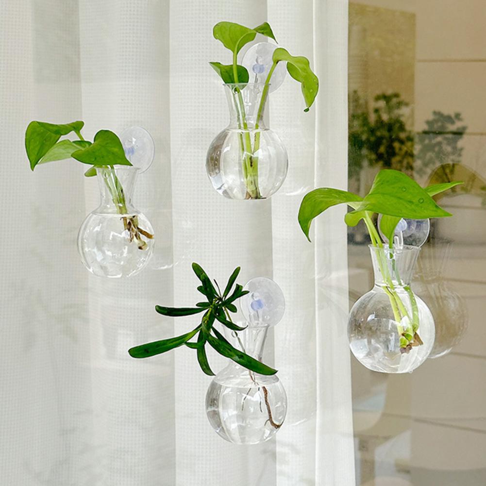 Propagation Station Vase - 1/2/3/4/6/8 قطع مزهرية تكاثر نباتات شفافة