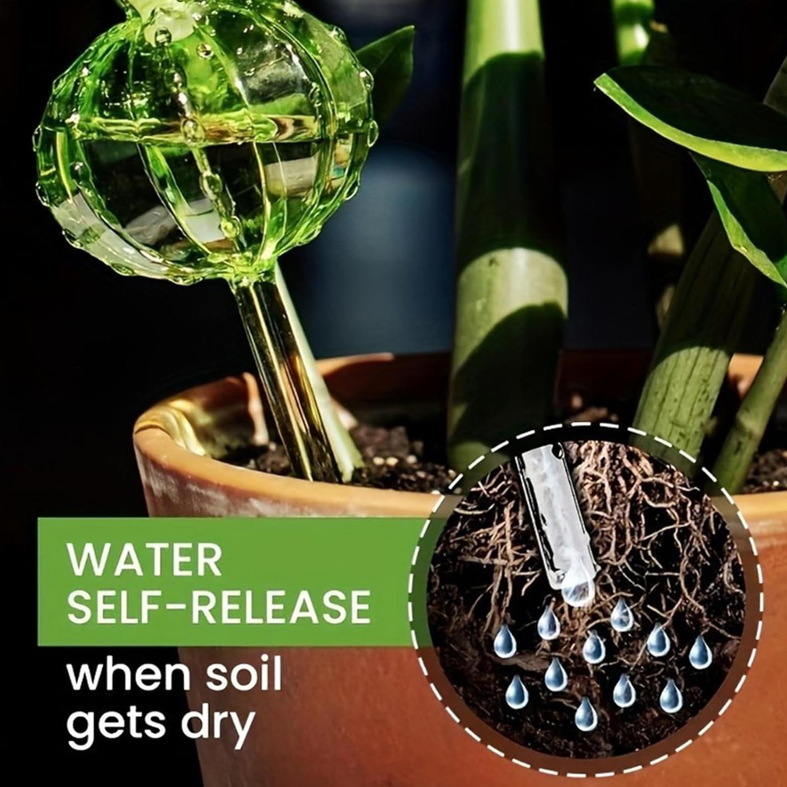 Self Watering Insert - أوتاد سقي النباتات 3 قطع، ذاتية