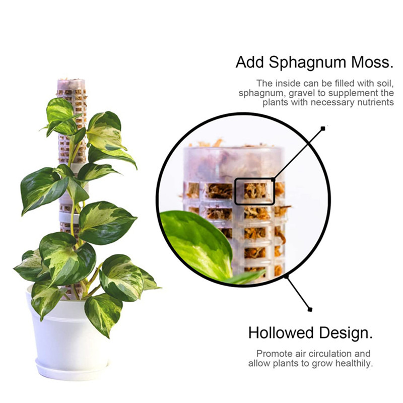 Sphagnum Moss Dry - عمود تسلق النباتات من طحالب السفاغنوم،
