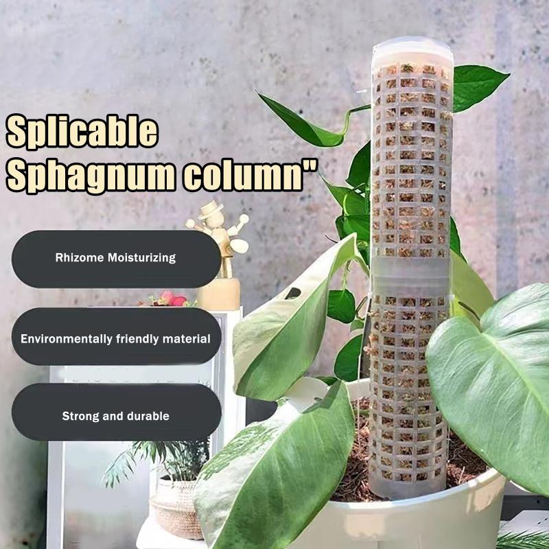Sphagnum Moss Dry - 6 قطع من أعمدة الطحالب البلاستيكية