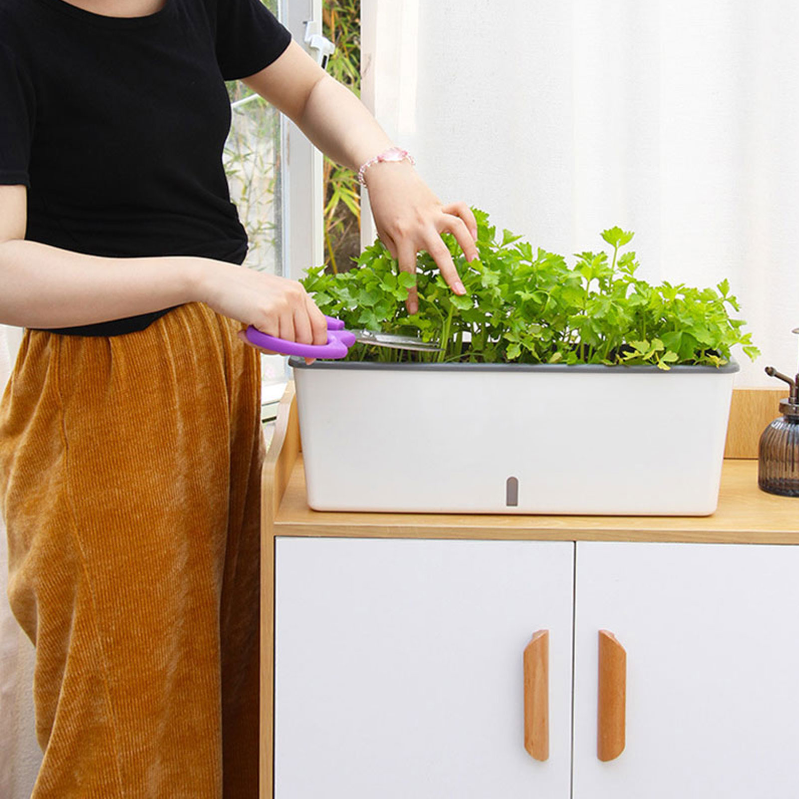 أوعية زراعة ذاتية السقي مع مؤش - مراجعة Self Watering Insert وسعره