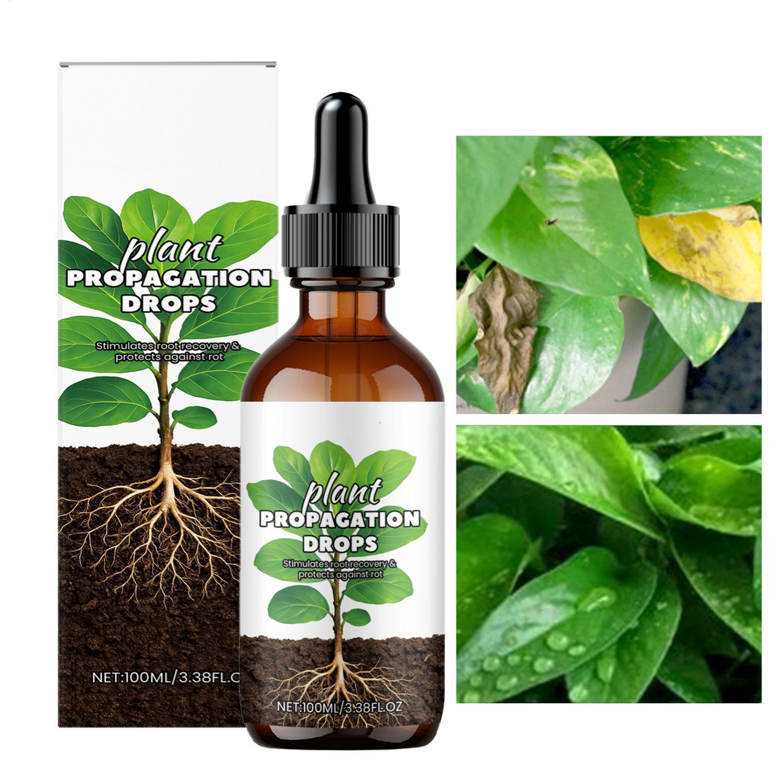 الجذر الداعم 100 مللي قطرات مح - مراجعة Root Stimulator Liquid وسعره