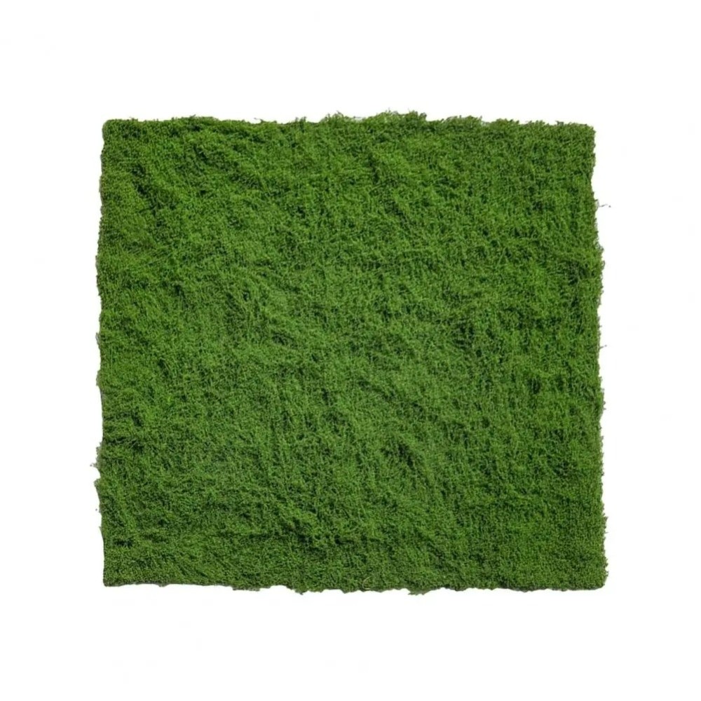 سجادة عشب صناعي للتركيب الذاتي - مراجعة Sphagnum Moss Dry وسعره