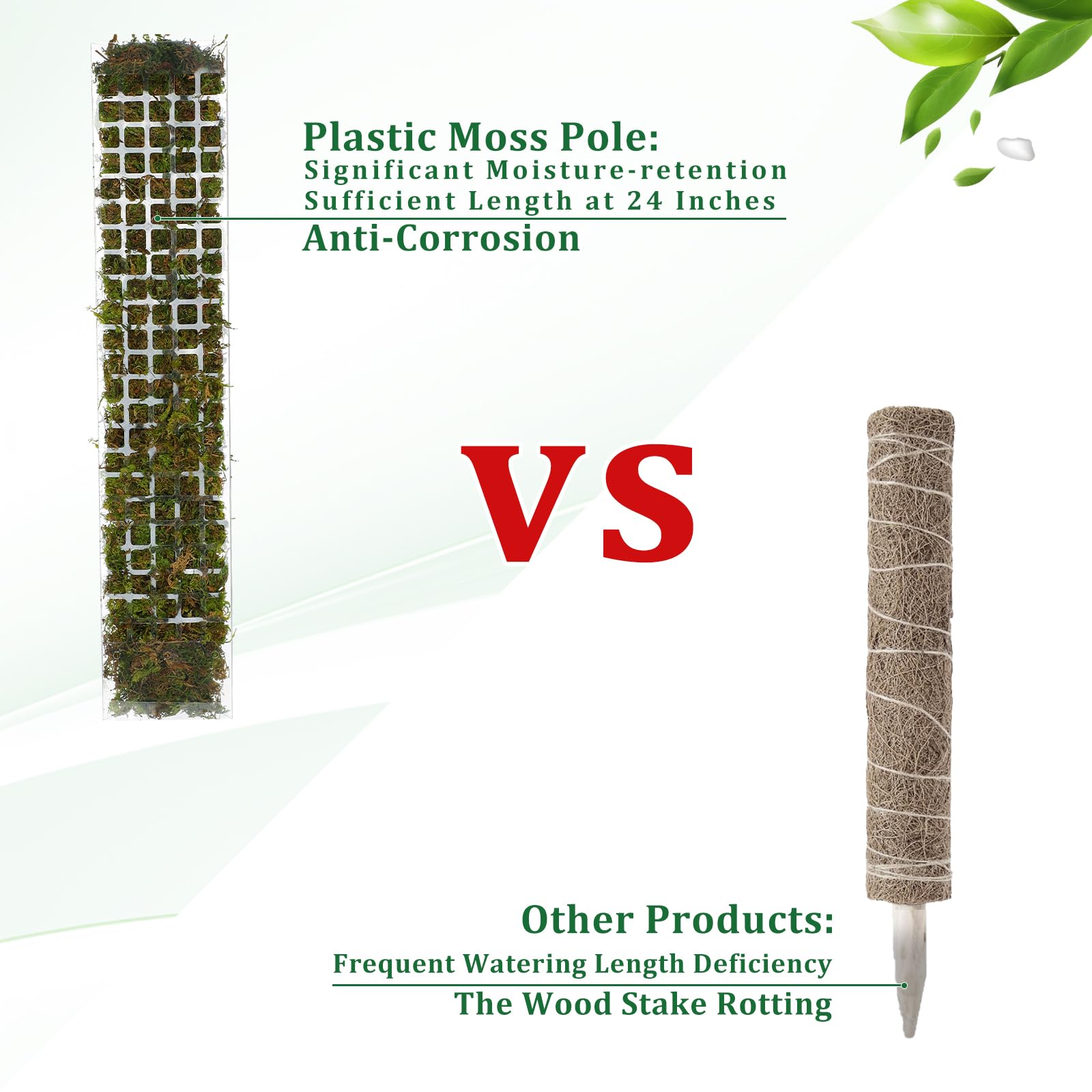 حامل نباتات بلاستيكي على شكل ع - مراجعة Sphagnum Moss Dry وسعره