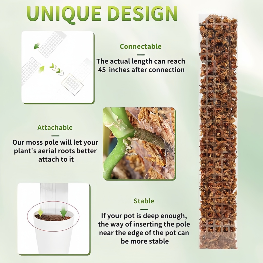 حامل نباتات بلاستيكي على شكل ع - مراجعة Sphagnum Moss Dry وسعره