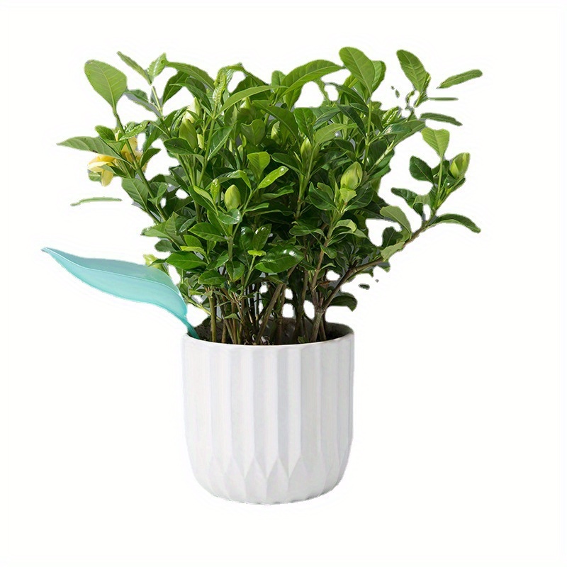 قمع ري إبداعي للنباتات في الأو - مراجعة Self Watering Insert وسعره