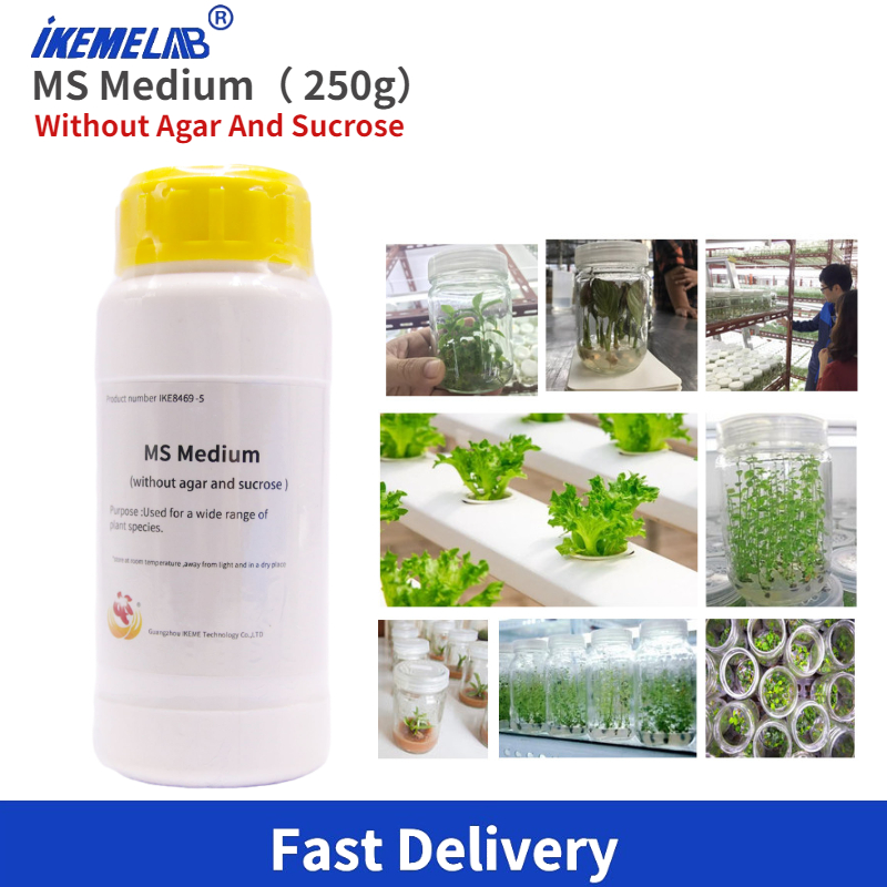 IKEME Lab MS متوسط 250 جرام بد - مراجعة Agar Tissue Culture وسعره