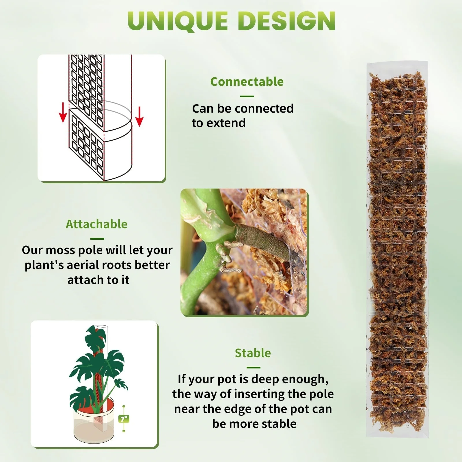 عمود تسلق بلاستيكي للنباتات مق - مراجعة Sphagnum Moss Dry وسعره