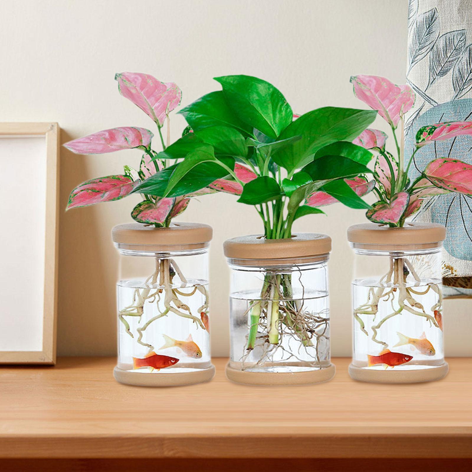 3 قطع من المزهريات المزخرفة لز - مراجعة Propagation Station Vase وسعره