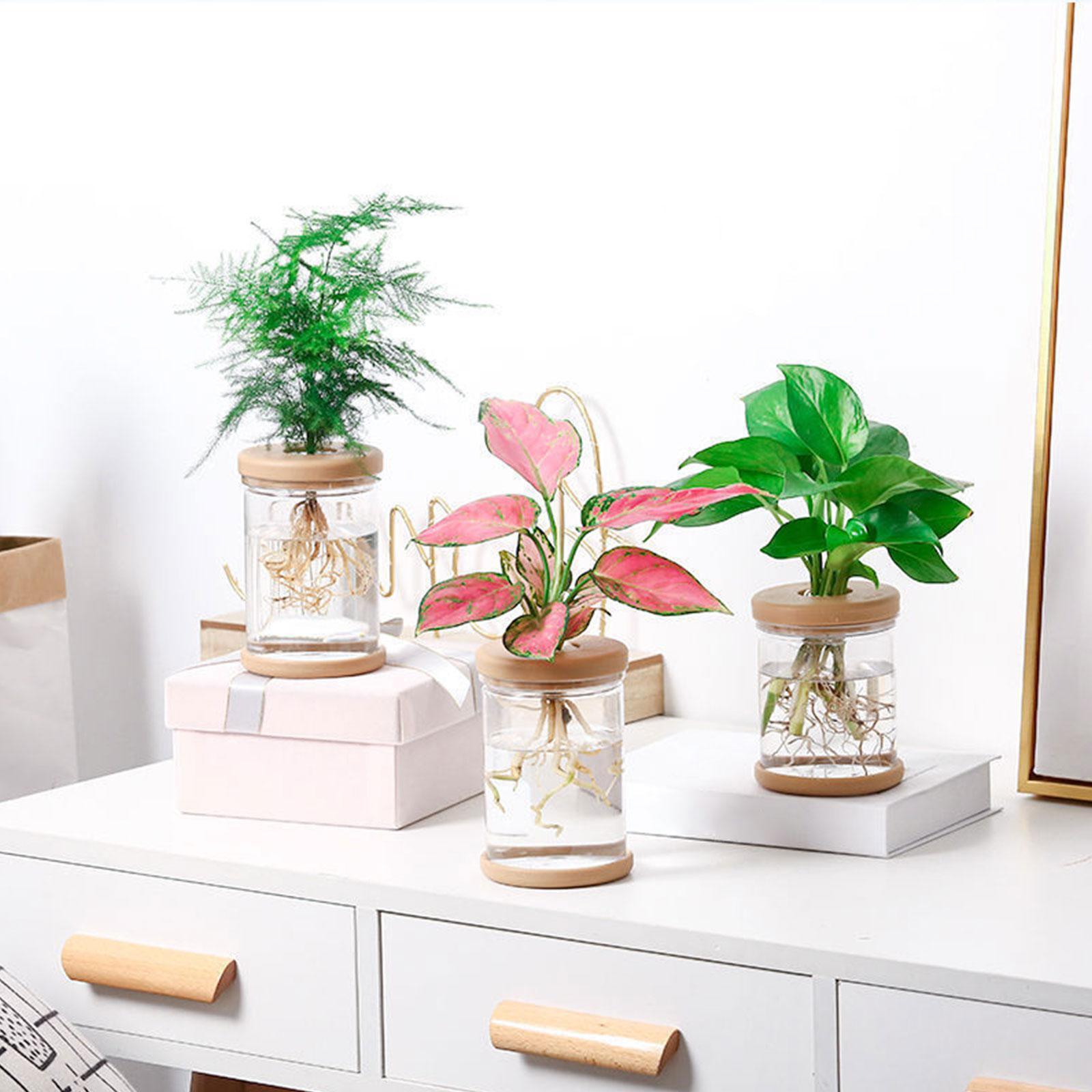 3 قطع من المزهريات المزخرفة لز - مراجعة Propagation Station Vase وسعره