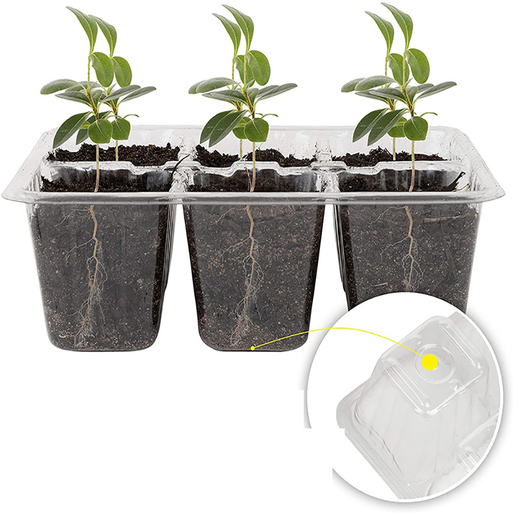 صواني بداية البذور مع ضوء النم - مراجعة Humidity Dome Kit وسعره