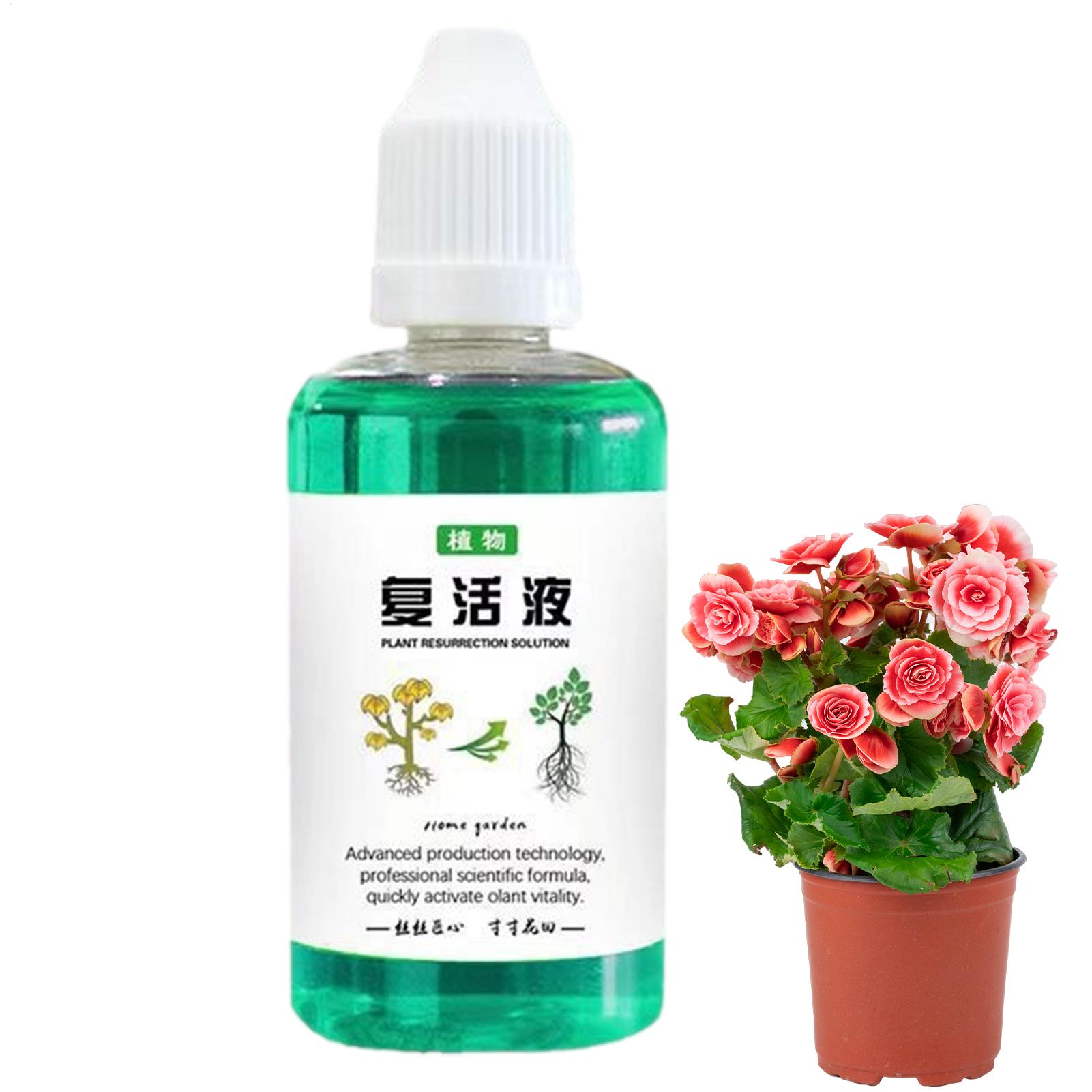 محفز جذور النباتات 50 مل، معزز - مراجعة Root Stimulator Liquid وسعره