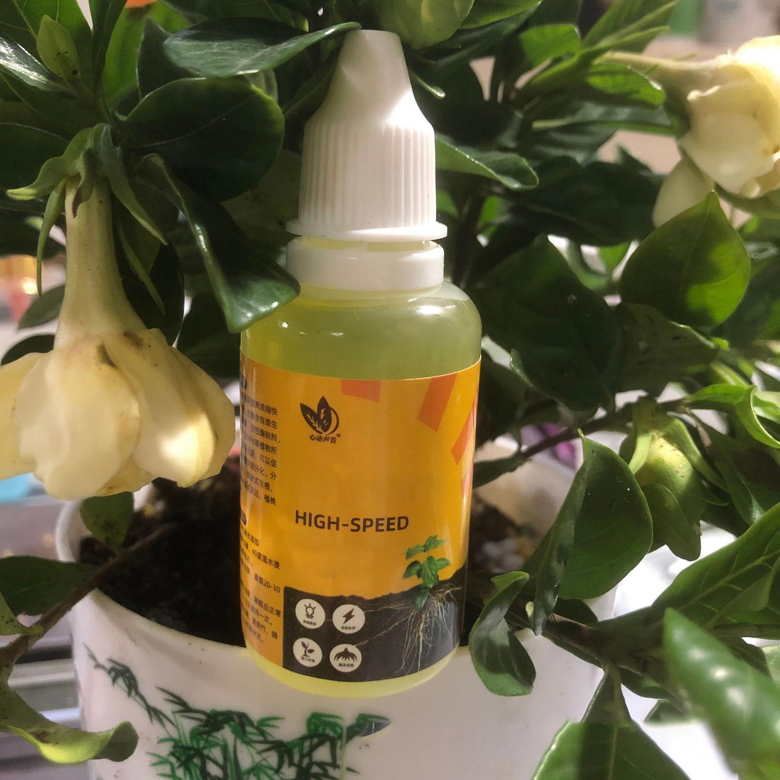 50 مللي محفز تأصيل النبات السا - مراجعة Root Stimulator Liquid وسعره