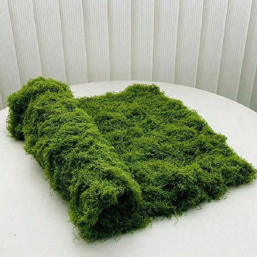 1*1 متر الطحلب وهمية Crafts به - مراجعة Sphagnum Moss Dry وسعره