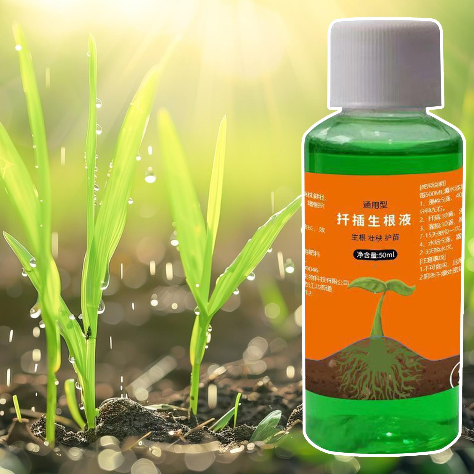 محفز جذور عالي الكفاءة لقصاصات - مراجعة Root Stimulator Liquid وسعره