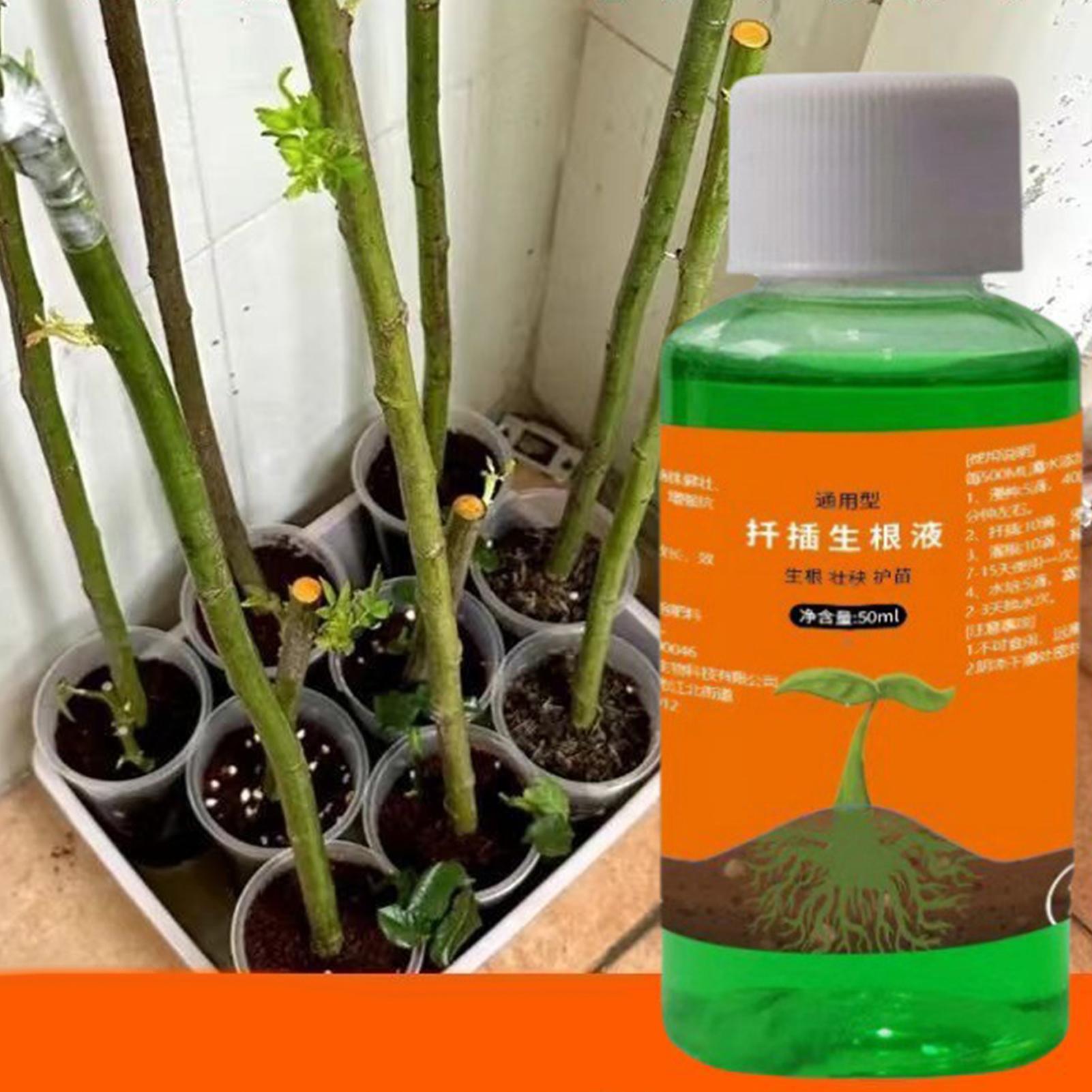 محفز جذور عالي الكفاءة لقصاصات - مراجعة Root Stimulator Liquid وسعره