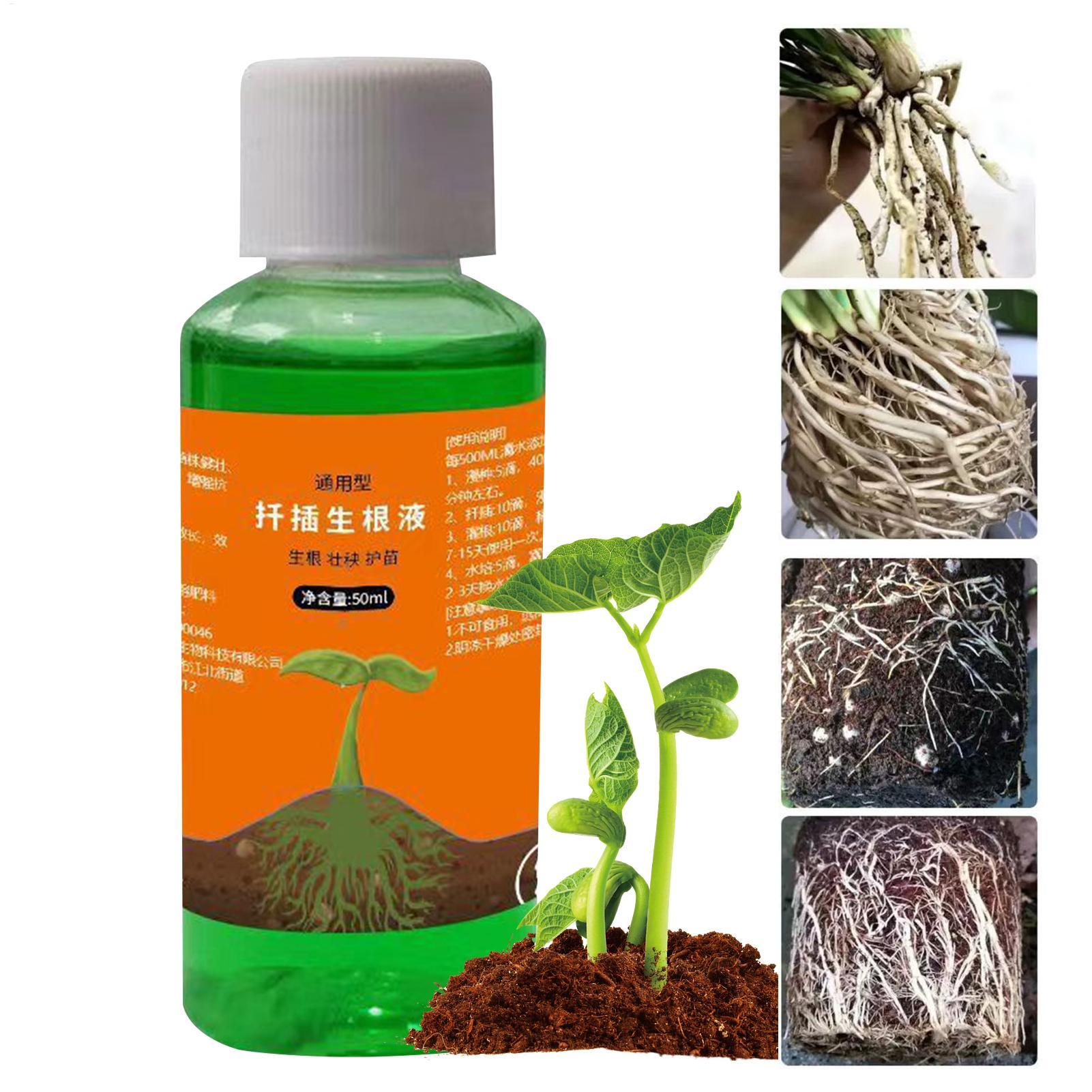 محلول مغذي لنقل النباتات سعة 5 - مراجعة Root Stimulator Liquid وسعره