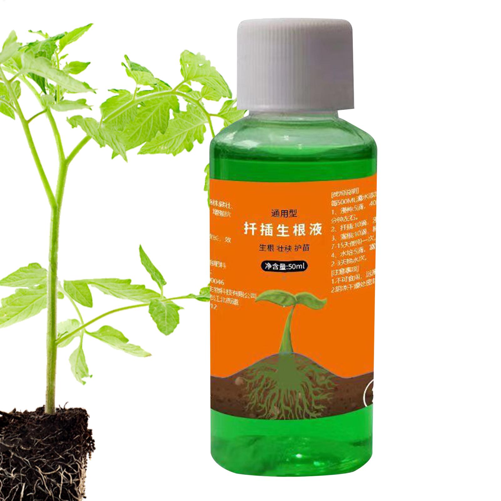 محلول مغذي لنقل النباتات سعة 5 - مراجعة Root Stimulator Liquid وسعره