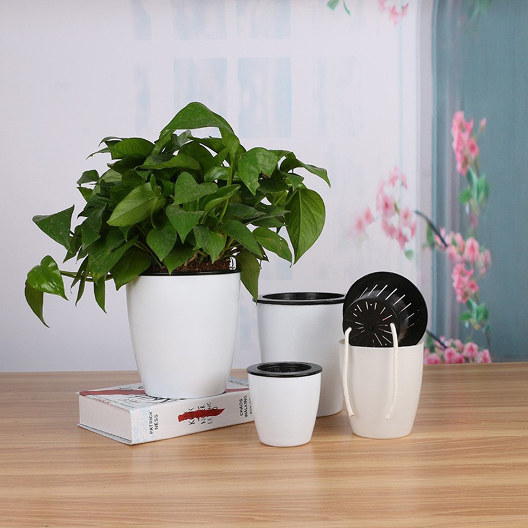 التلقائي سقي النباتات وعاء ، ك - مراجعة Self Watering Insert وسعره