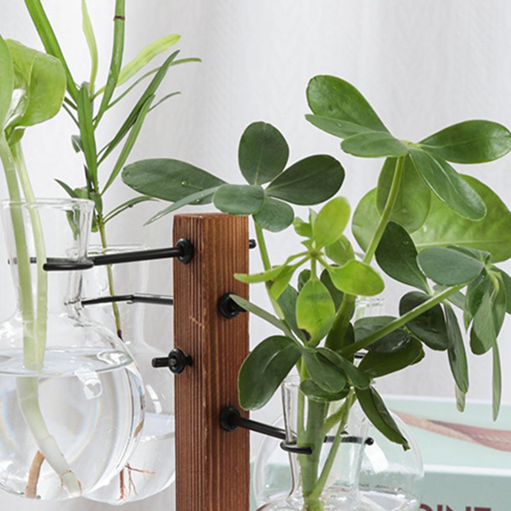 1 مجموعة 10*25 سنتيمتر محطة ان - مراجعة Propagation Station Vase وسعره