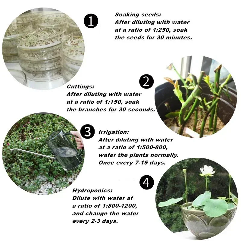 مسحوق التجذير السريع ، منظمات  - مراجعة Rooting Hormone Powder وسعره