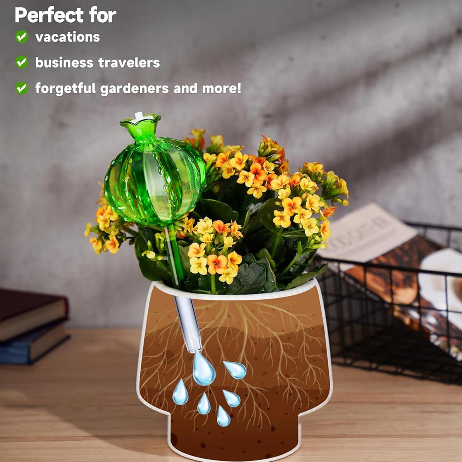 أوتاد سقي النباتات 3 قطع، ذاتي - مراجعة Self Watering Insert وسعره