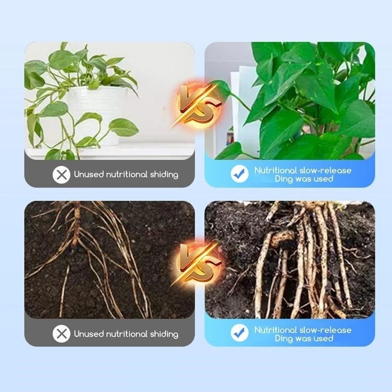 2 أكياس مسحوق هرمون تأصيل الشت - مراجعة Rooting Hormone Powder وسعره