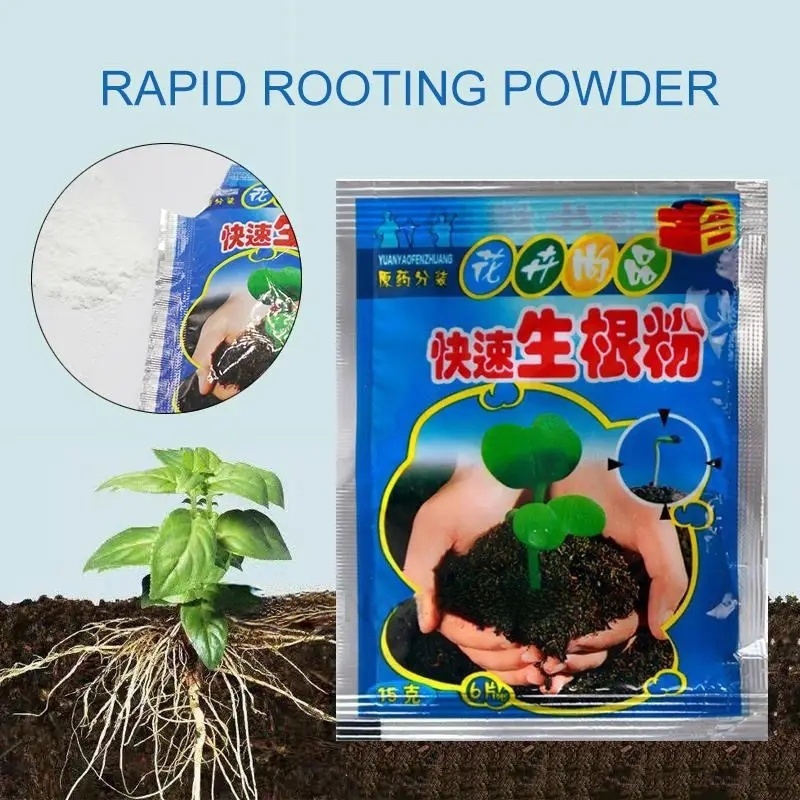 5 قطعة مسحوق تأصيل سريع النبات - مراجعة Rooting Hormone Powder وسعره