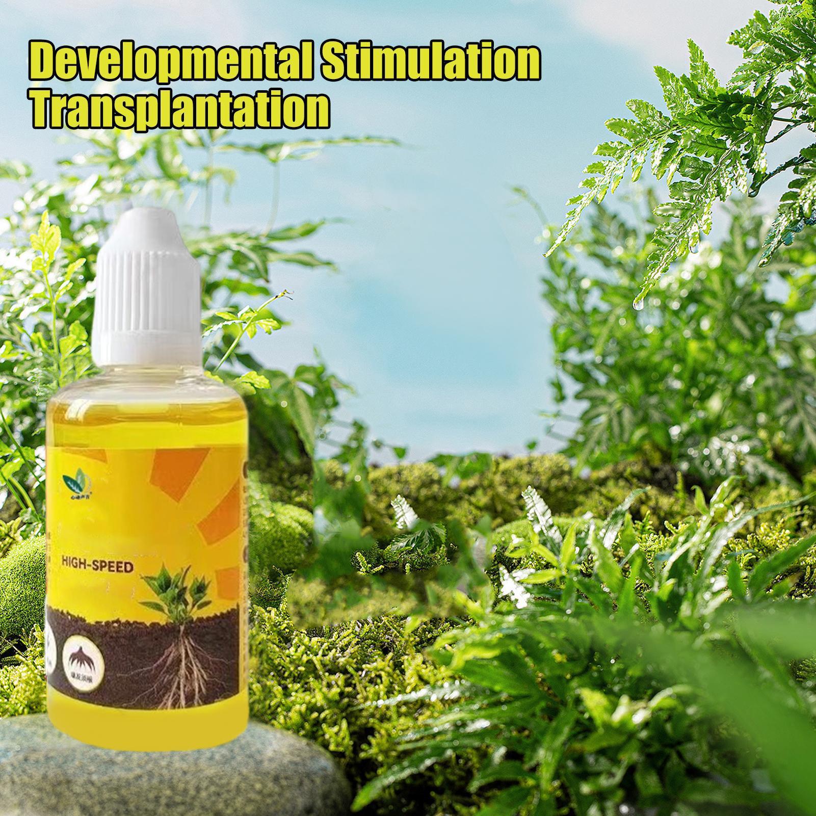 سريع بوتينغ تأصيل النباتات الم - مراجعة Root Stimulator Liquid وسعره