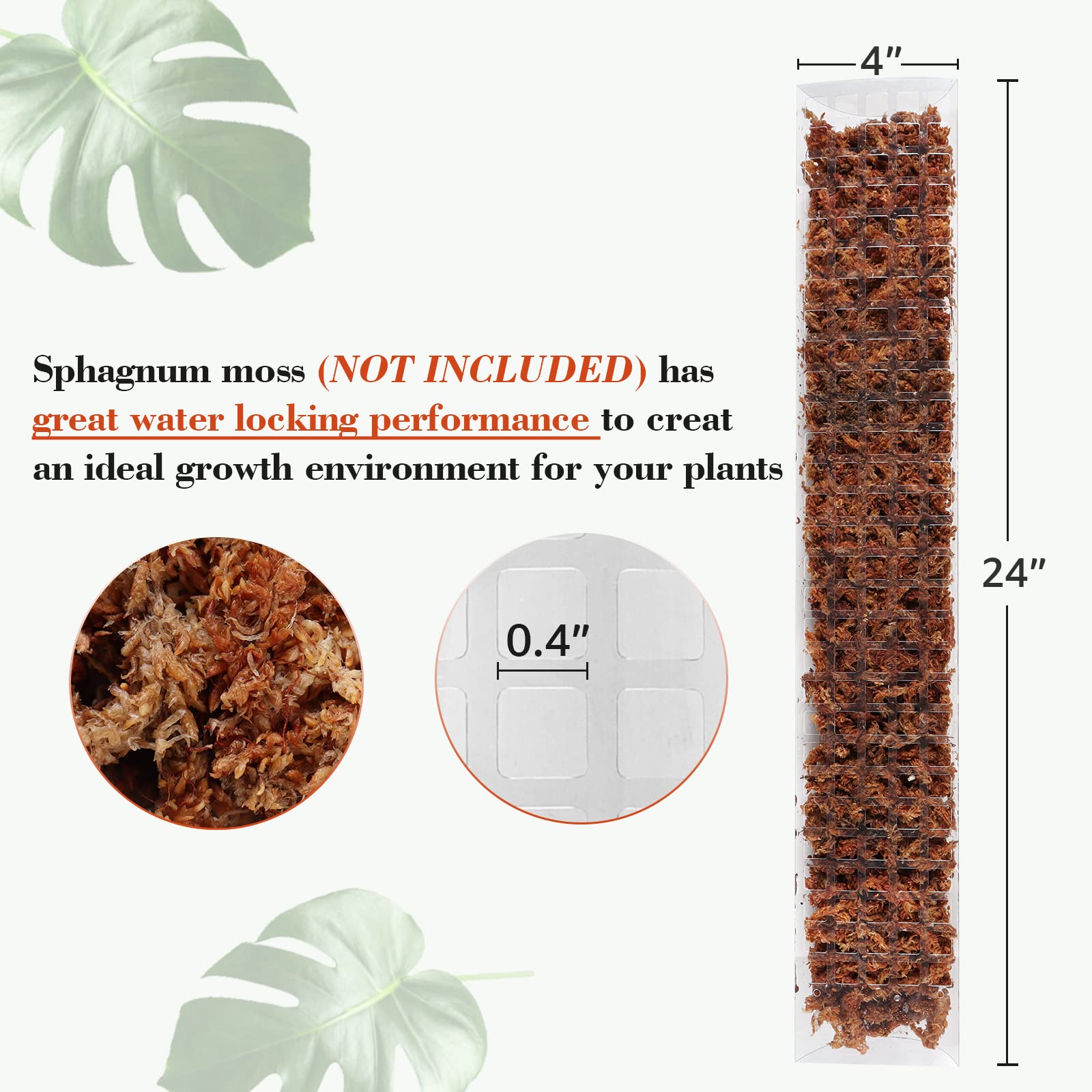 2/4/6 قطعة القطب الطحلب البلاس - مراجعة Sphagnum Moss Dry وسعره
