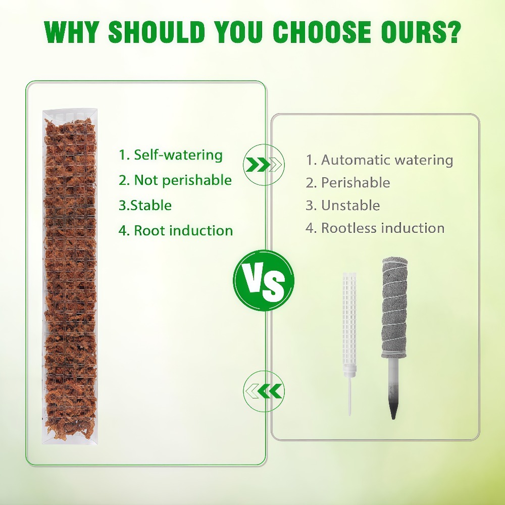 عمود طحلب بلاستيكي داخلي لدعم  - مراجعة Sphagnum Moss Dry وسعره
