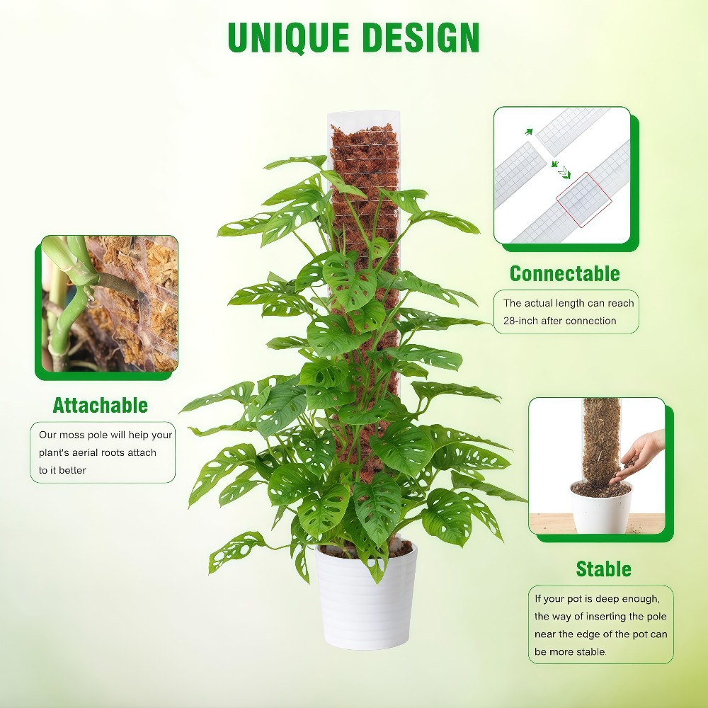 عمود طحلب بلاستيكي داخلي لدعم  - مراجعة Sphagnum Moss Dry وسعره